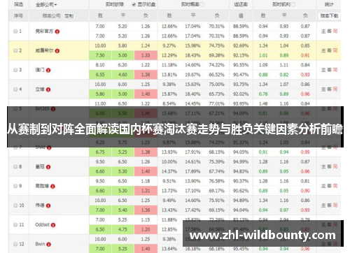 从赛制到对阵全面解读国内杯赛淘汰赛走势与胜负关键因素分析前瞻