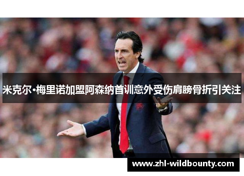 米克尔·梅里诺加盟阿森纳首训意外受伤肩膀骨折引关注 米克尔·梅里诺加盟阿森纳首训意外受伤肩膀骨折引关注