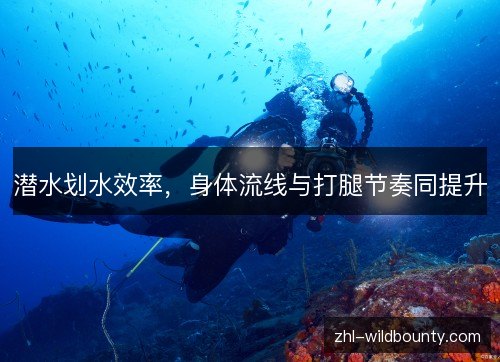 潜水划水效率，身体流线与打腿节奏同提升